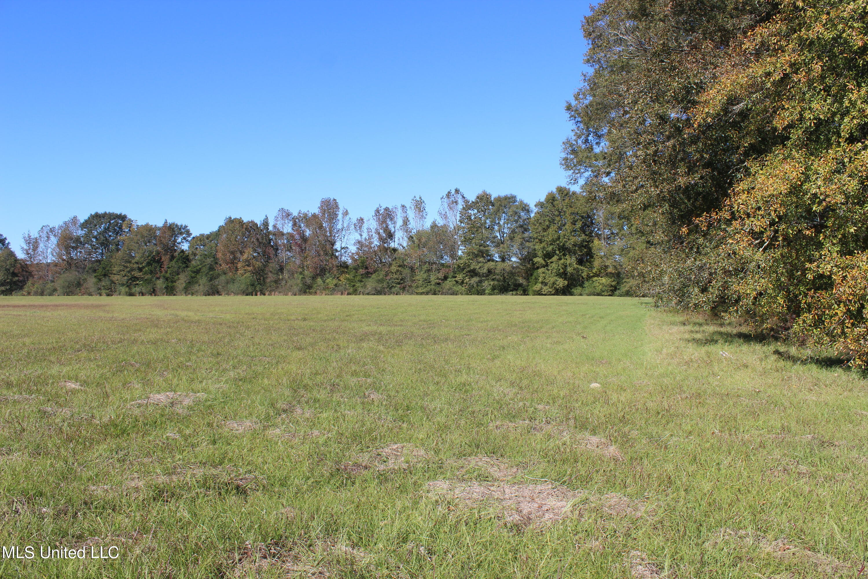 7371 Old Hillsboro Road Forest, MS 39074 - Photo 57 of 67 36.