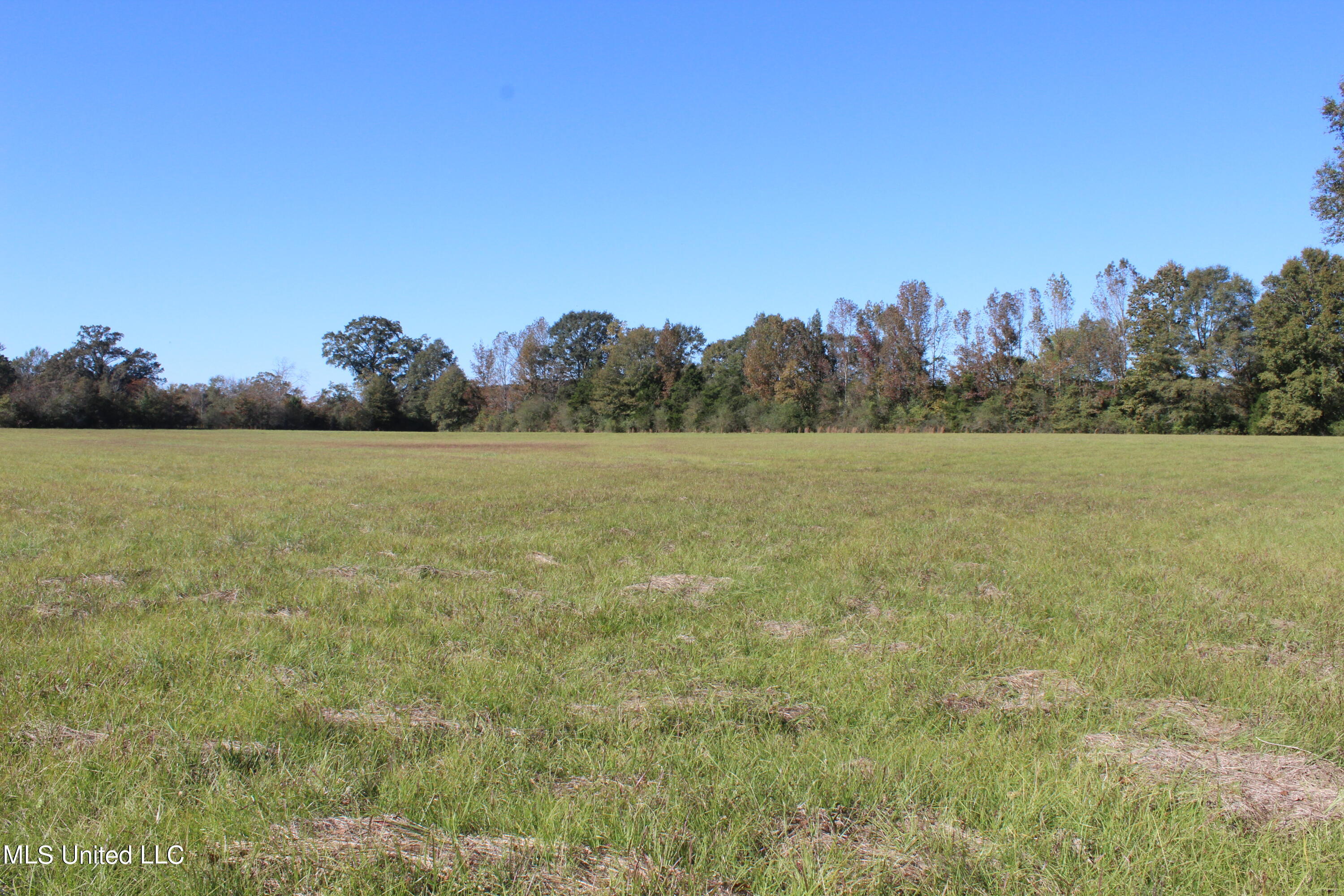 7371 Old Hillsboro Road Forest, MS 39074 - Photo 58 of 67 37.