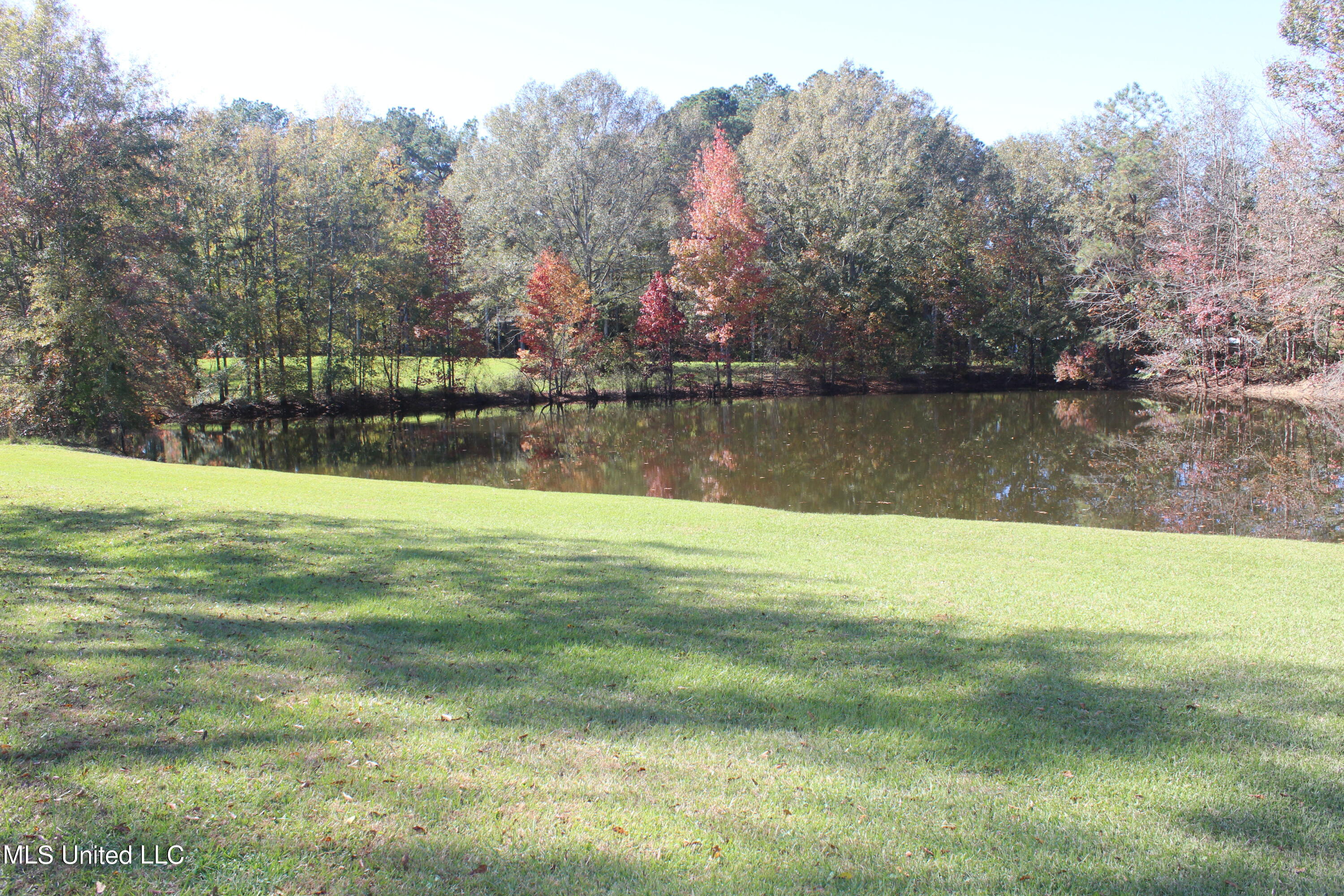 7371 Old Hillsboro Road Forest, MS 39074 - Photo 6 of 67 5.