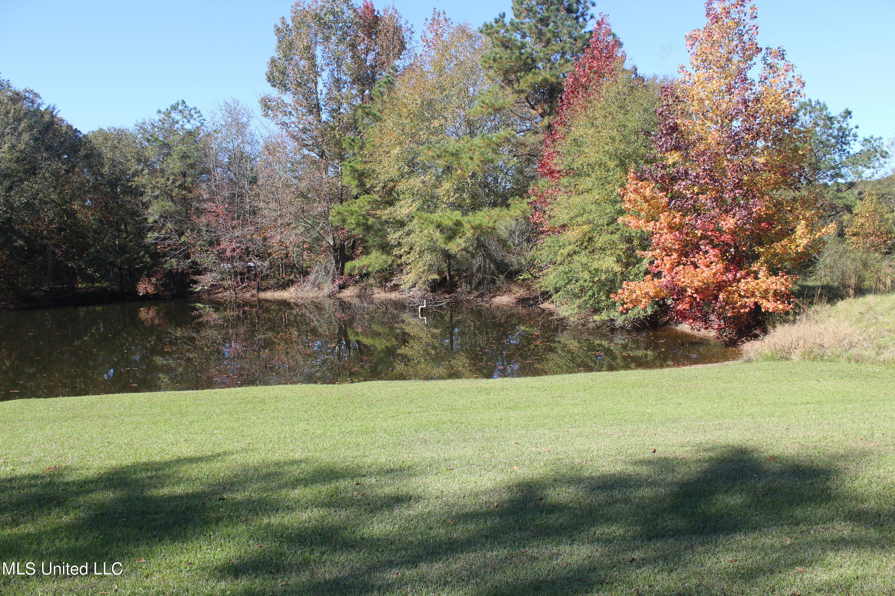 7371 Old Hillsboro Road Forest, MS 39074 - Photo 7 of 67 6.