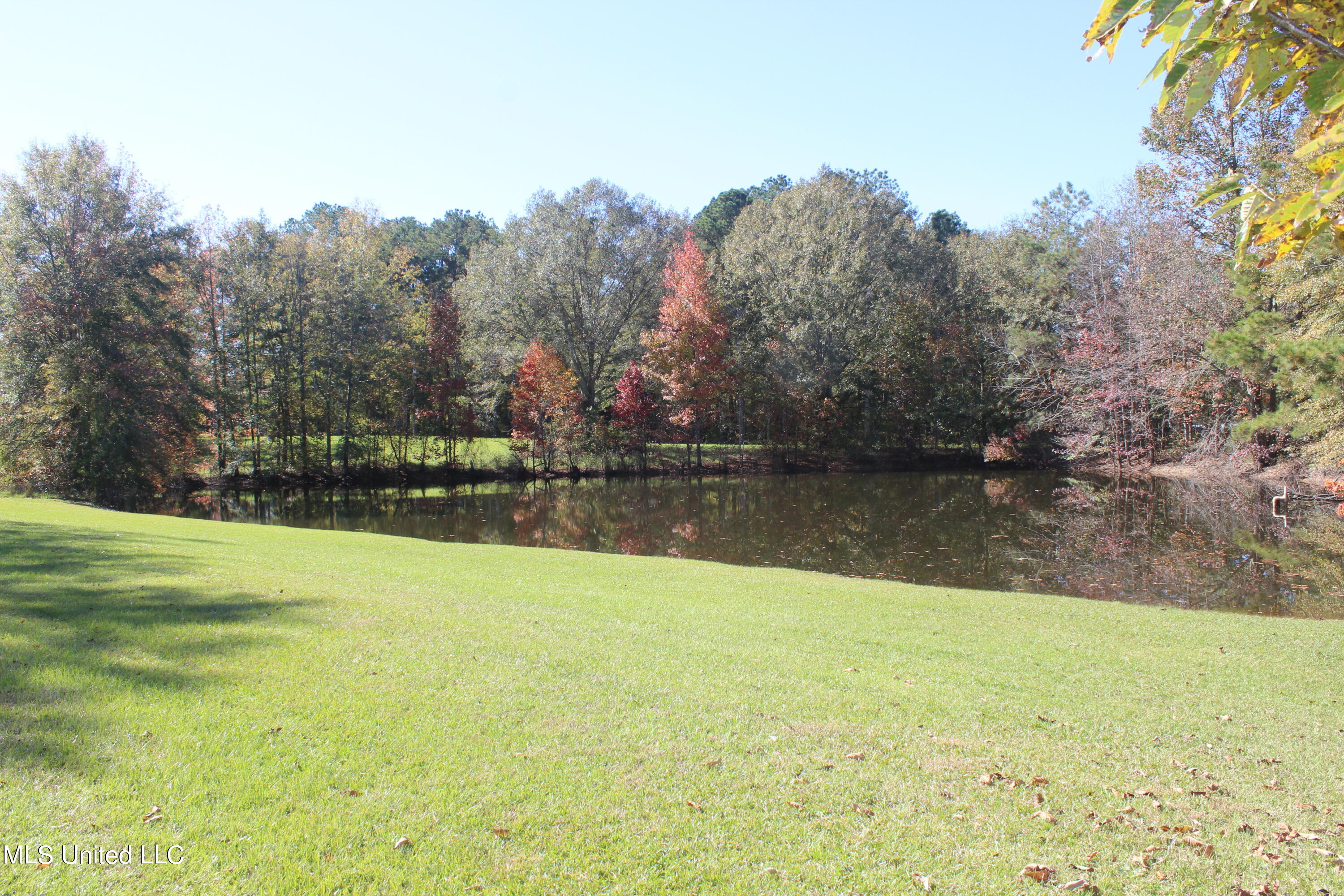 7371 Old Hillsboro Road Forest, MS 39074 - Photo 8 of 67 7.