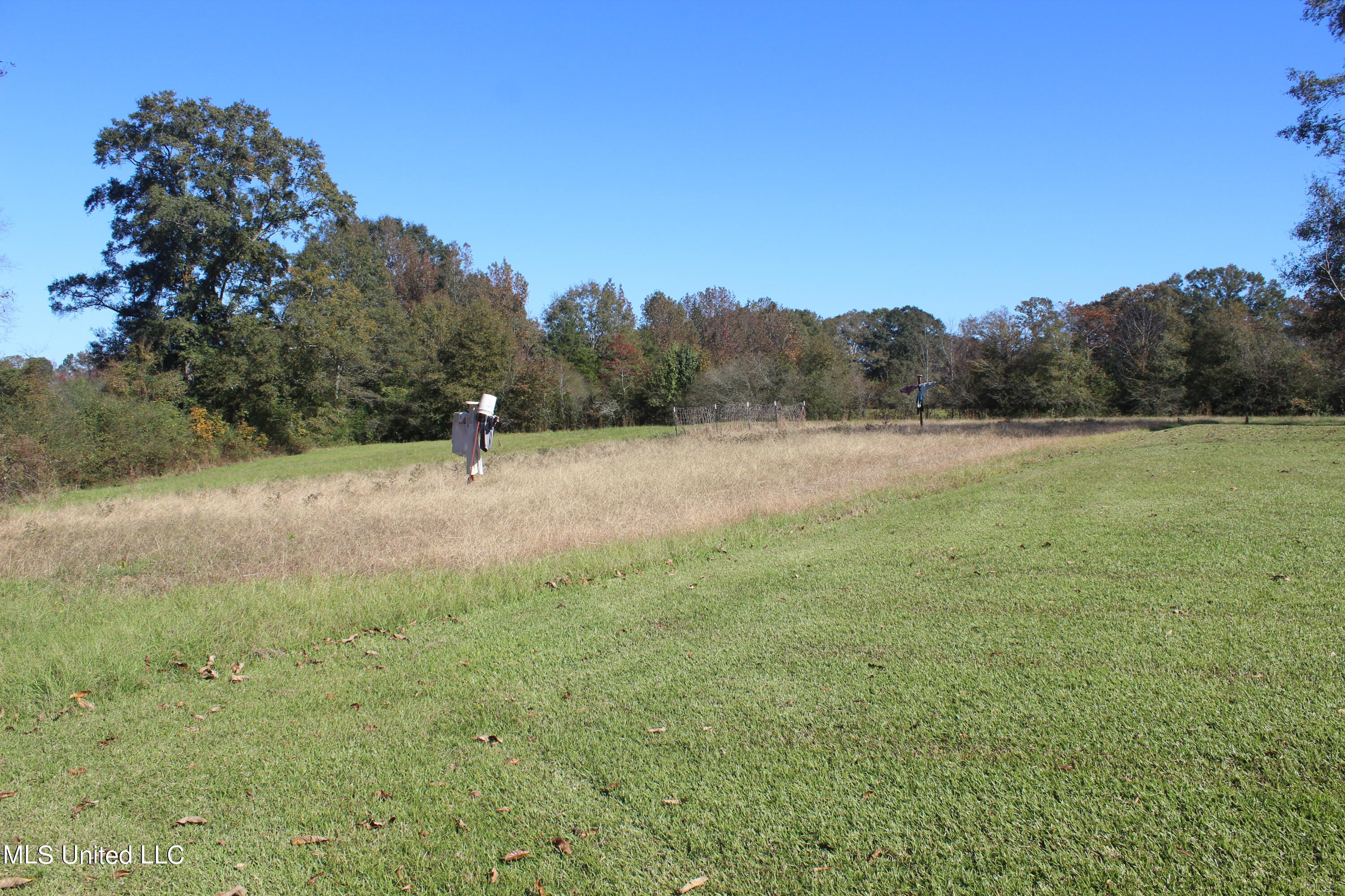 7371 Old Hillsboro Road Forest, MS 39074 - Photo 10 of 67 9.