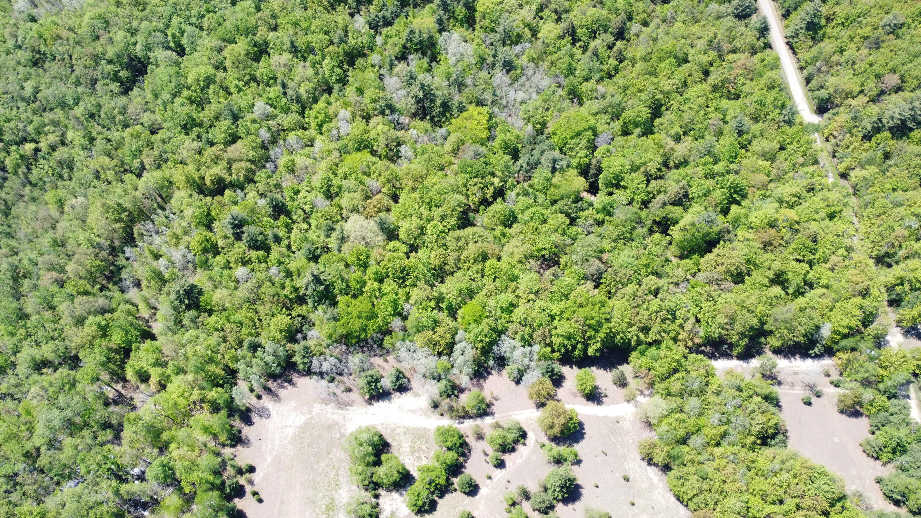 2187 Koenig Road Manistee, MI 49660 - Photo 13 of 20 2187 Koenig rd