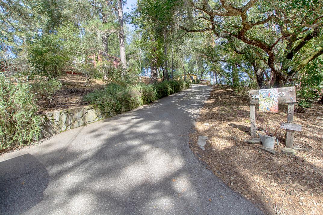 79 Pine Avenue Mount Hermon, CA 95041 - Photo 29 of 32 a view of backyard with green space