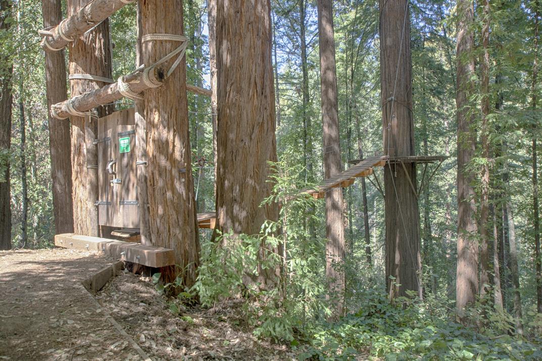 79 Pine Avenue Mount Hermon, CA 95041 - Photo 30 of 32 a backyard of a house with lots of green space and fountain