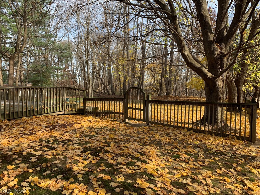 3955-3957 Cox Road Akron, OH 44319 - Photo 14 of 17 Gallery Image 14