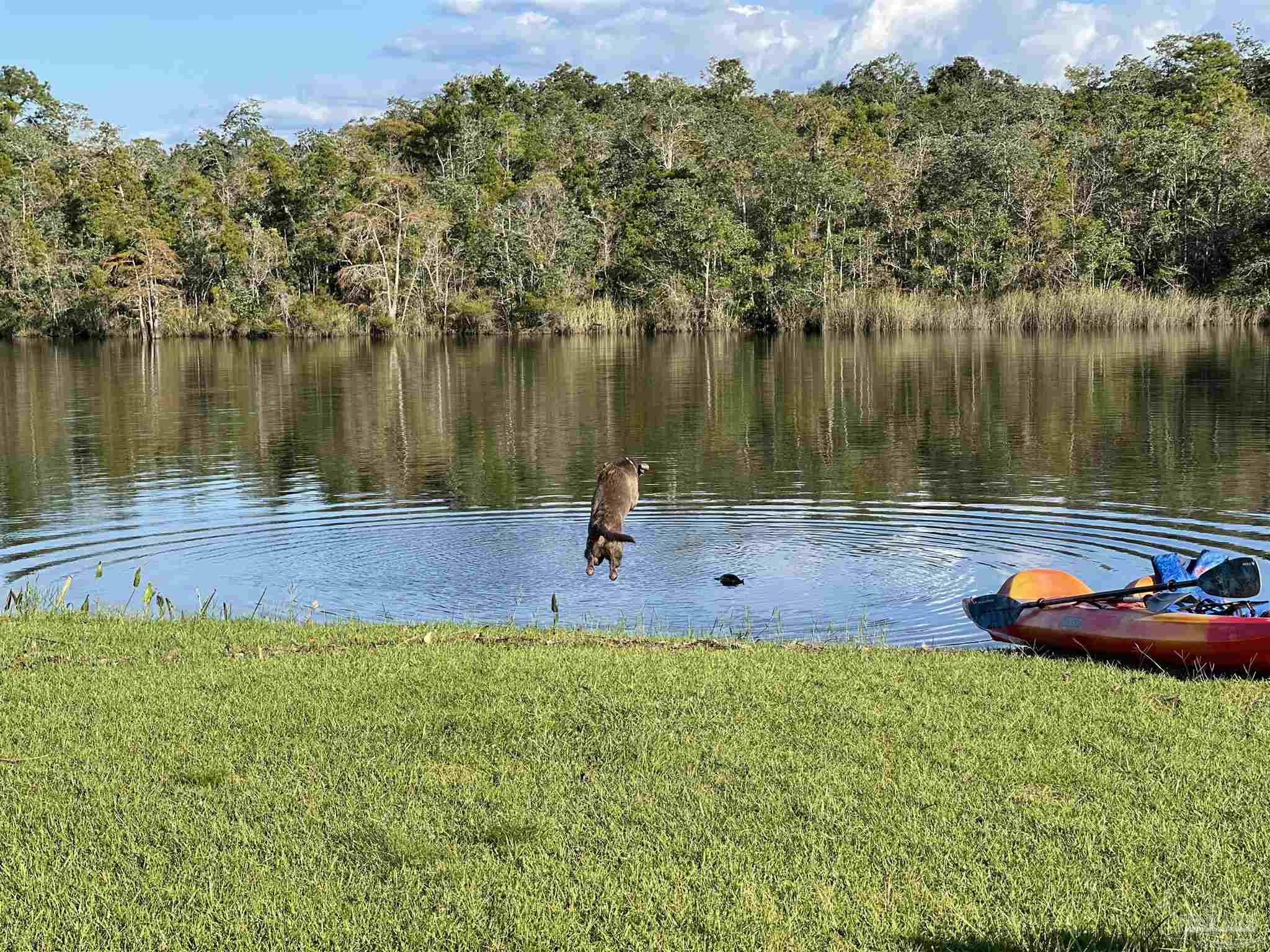 4600 Gunter Road Milton, FL 32570 - Photo 20 of 45 Gallery Image 20