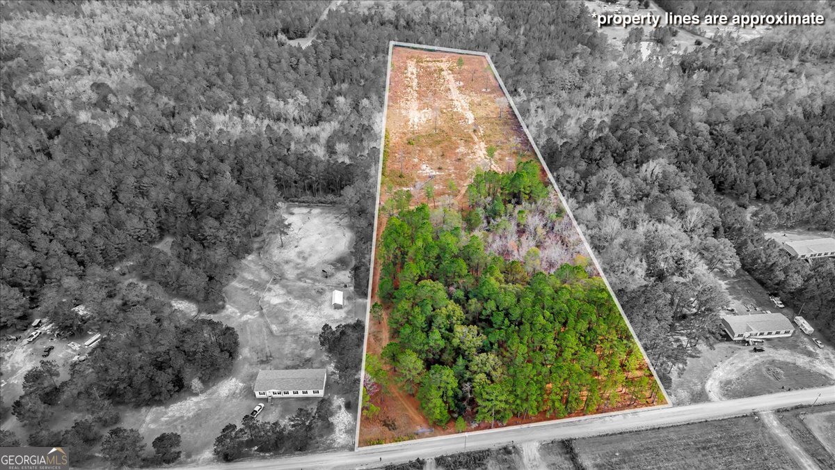 a view of a yard with plants