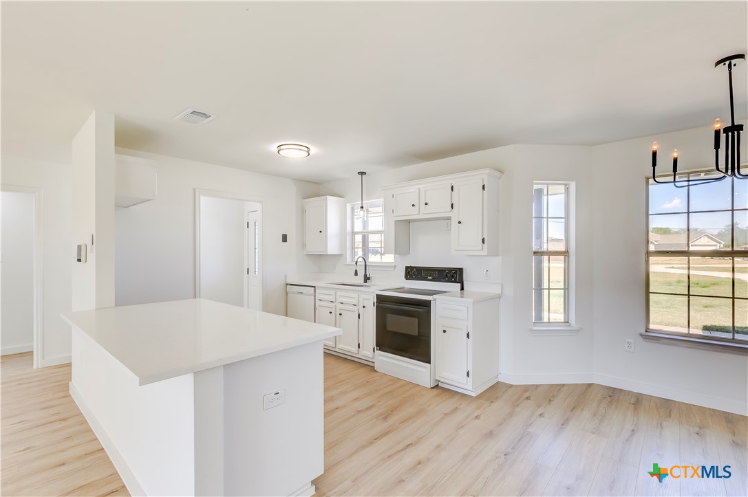 1008 Hickory Lane Kempner, TX 76539 - Photo 13 of 34