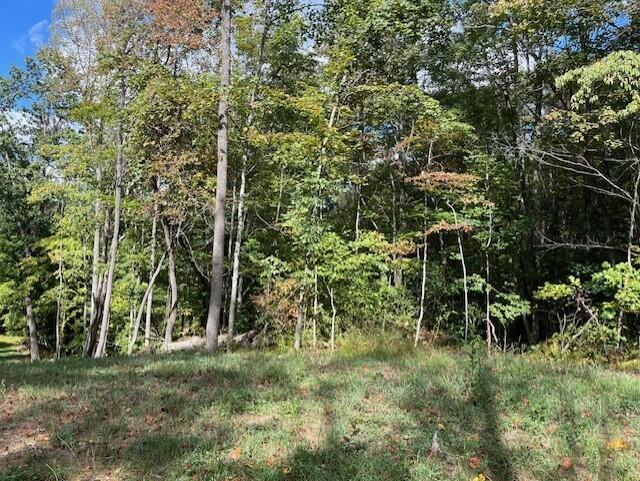 23875 Mathias Road South Bloomingville, OH 43152 - Photo 66 of 89 thumbnail_IMG_8927