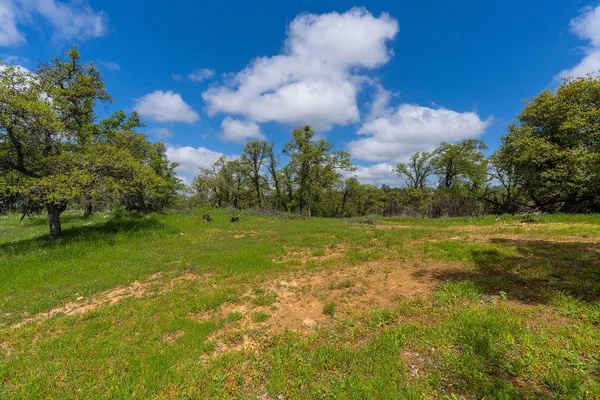 a view of a golf course with a fountain