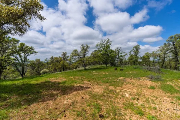 a view of yard with green space