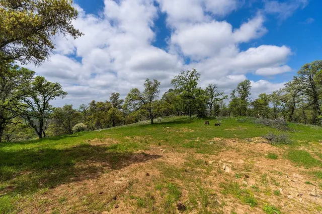 a view of yard with green space