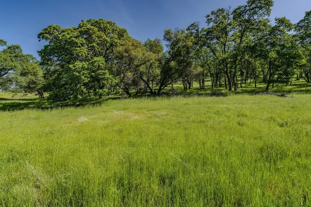 a view of a green yard