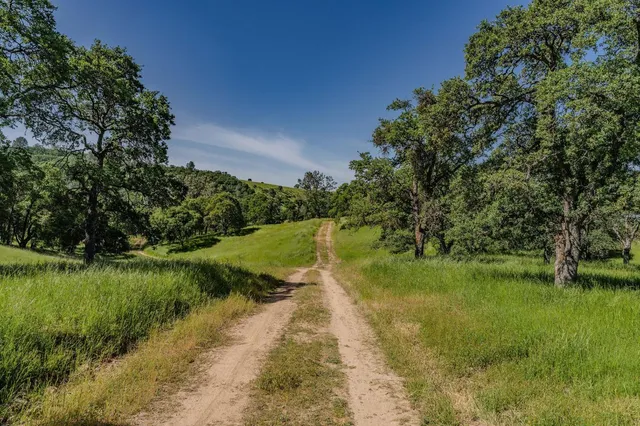 a view of a pathway both side of grassy field with shrub