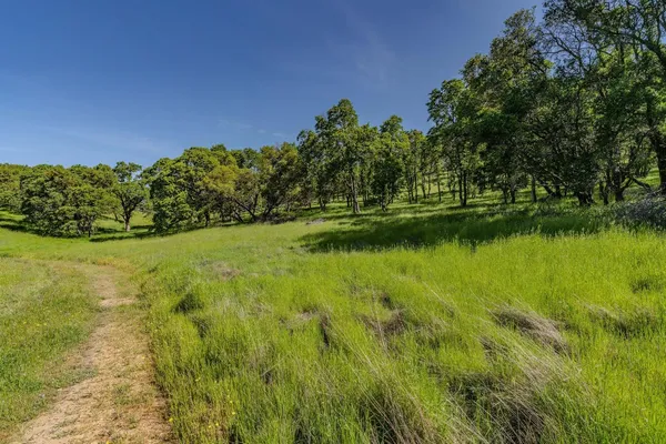 a view of a garden with a building in the background