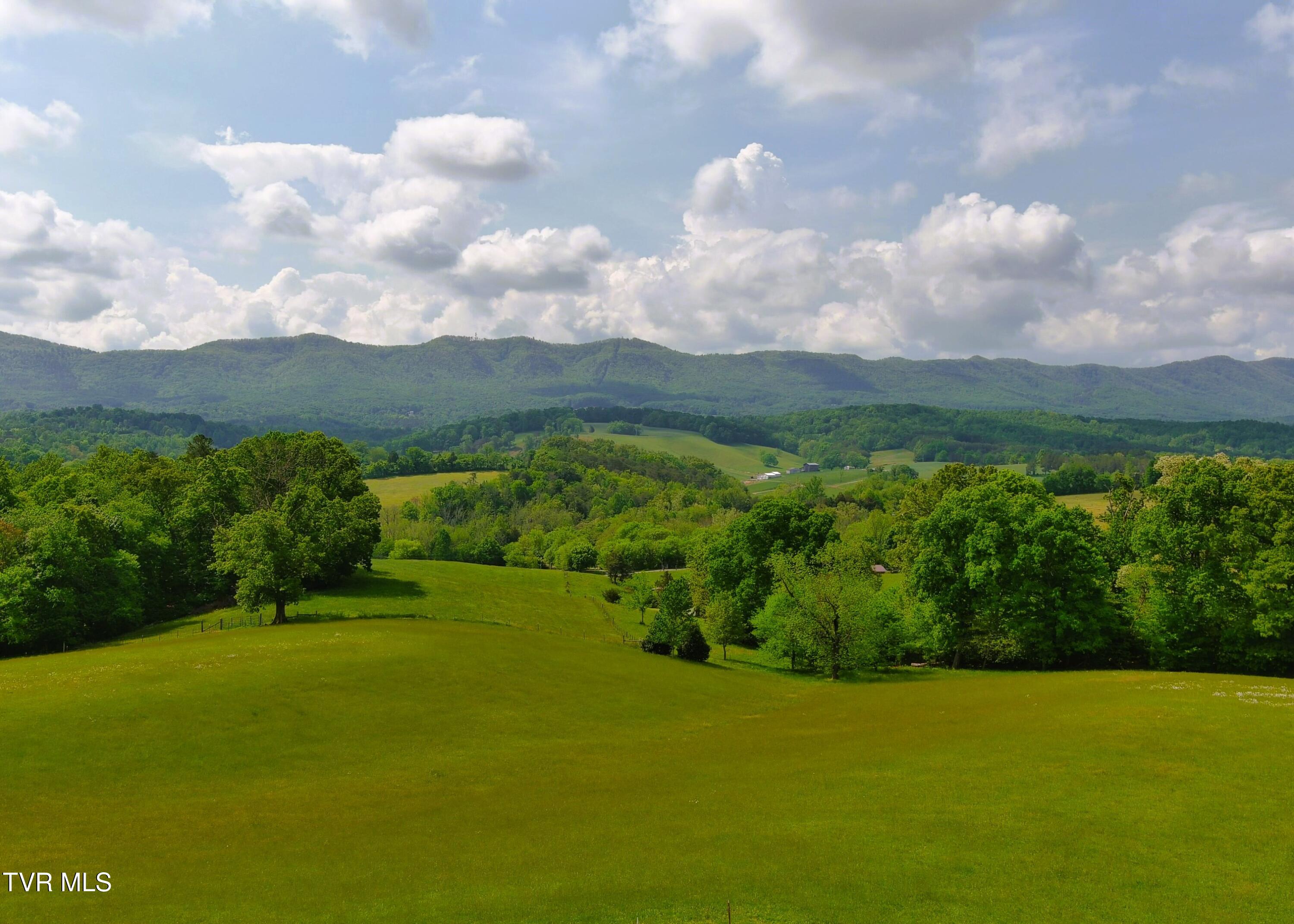7545 Cedar Creek Road, Unit 5 Greeneville, TN 37743 - Photo 78 of 83 View from House