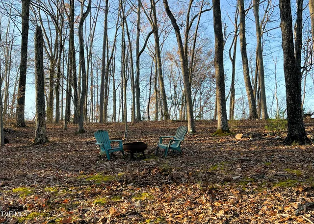 $1,100,000 | 7545 Cedar Creek Road, Unit 5, Greeneville, TN 37743