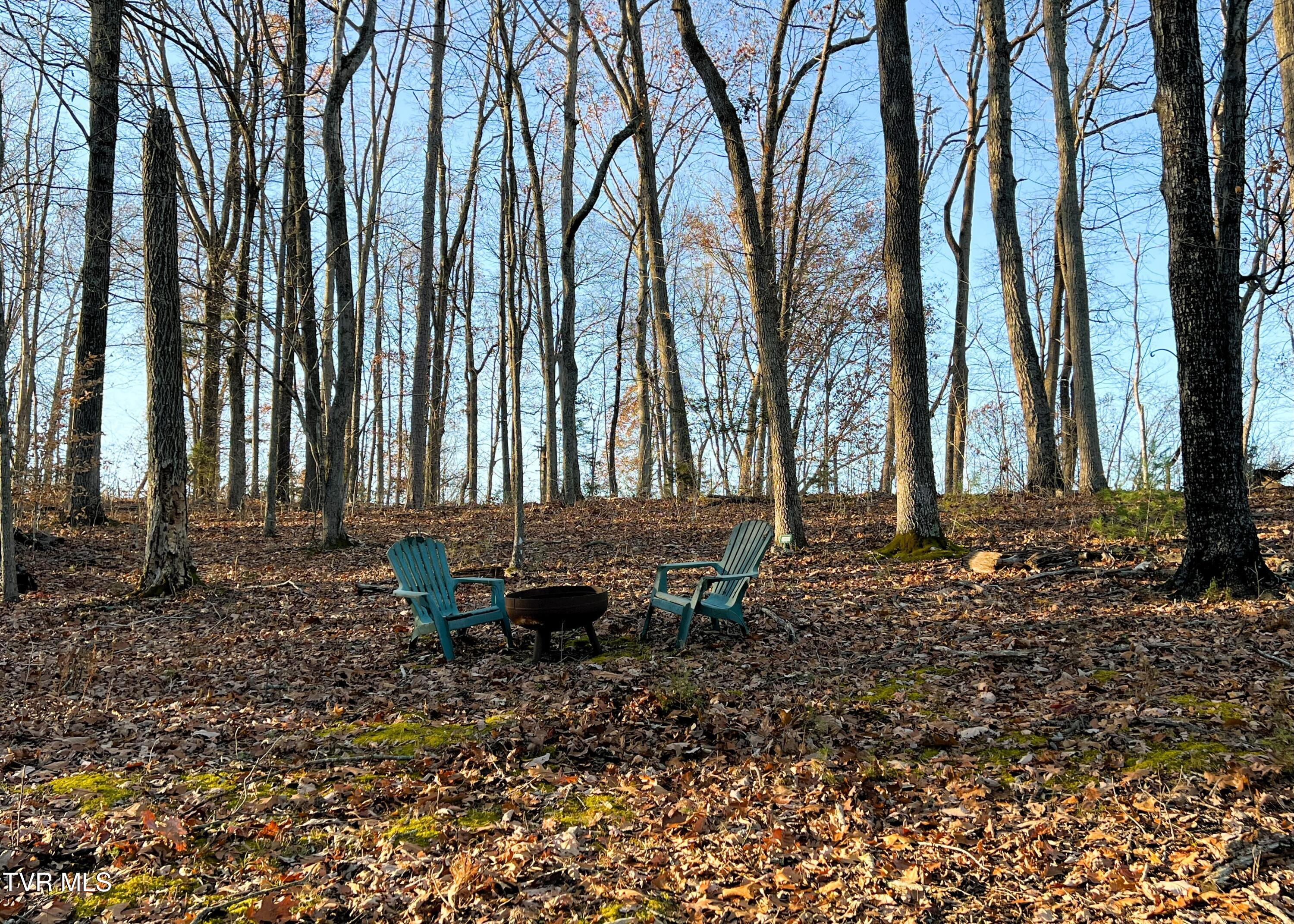 7545 Cedar Creek Road, Unit 5 Greeneville, TN 37743 - Photo 82 of 83 Firepit Area