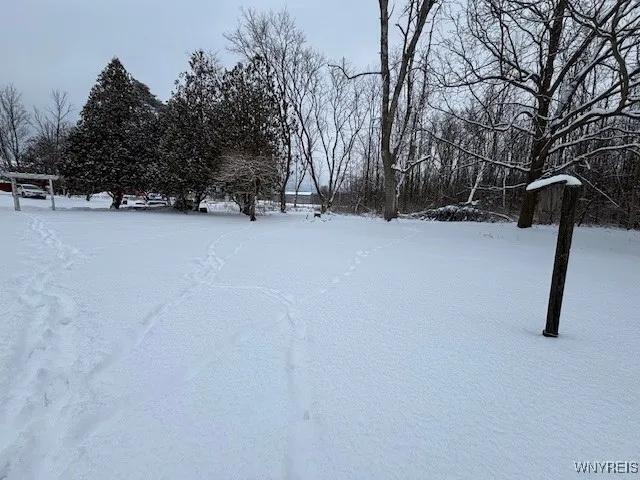 $350,000 | 16988 Kendall Creek Road, Kendall, NY 14470