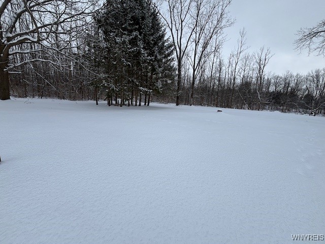 16988 Kendall Creek Road Kendall, NY 14470 - Photo 46 of 46