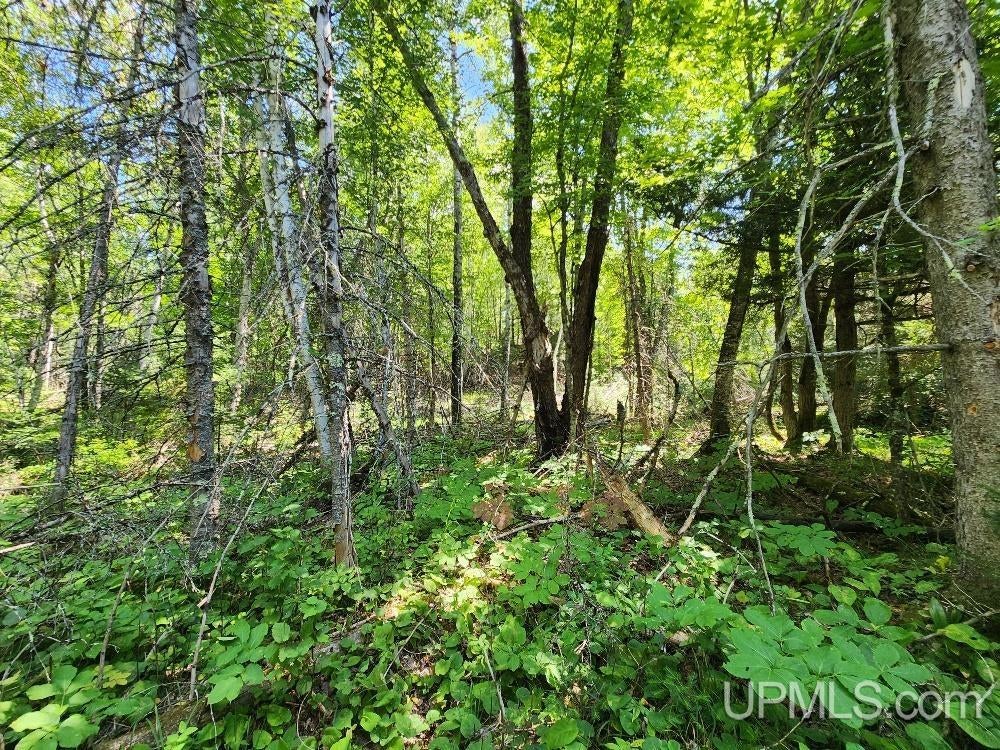 2.63-acres Sheltrow Road, Unit LOT 6PAINT RIVER HIGHLAN Crystal Falls, MI 49920 - Photo 26 of 53 Gallery Image 26