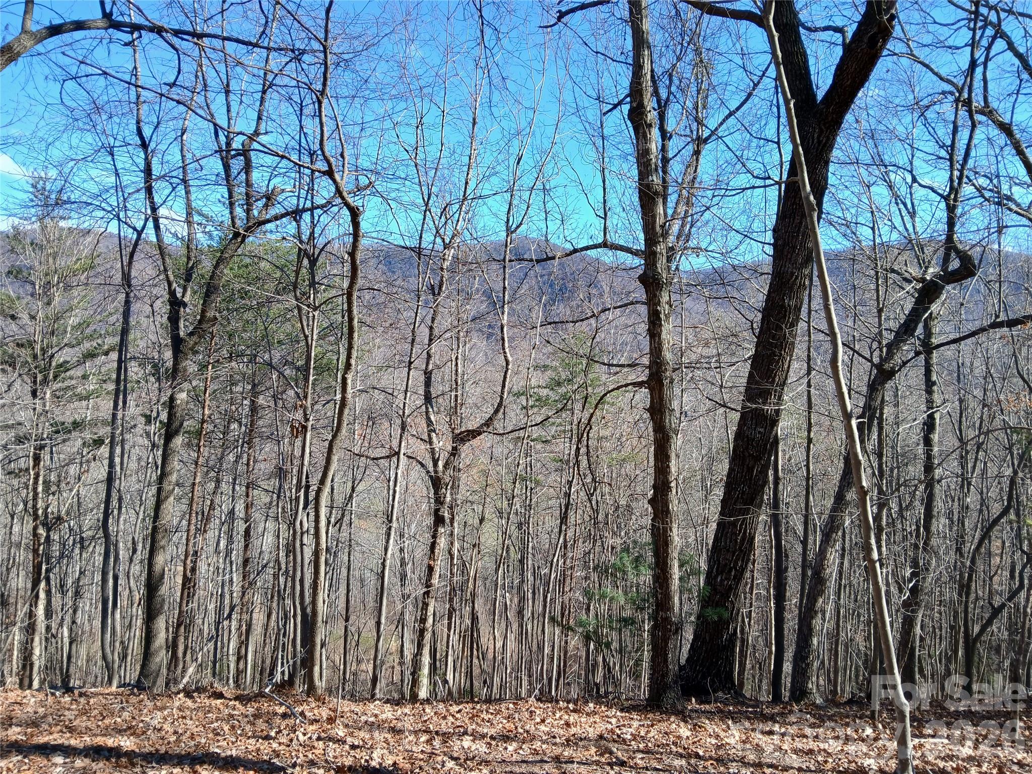 a view of outdoor space