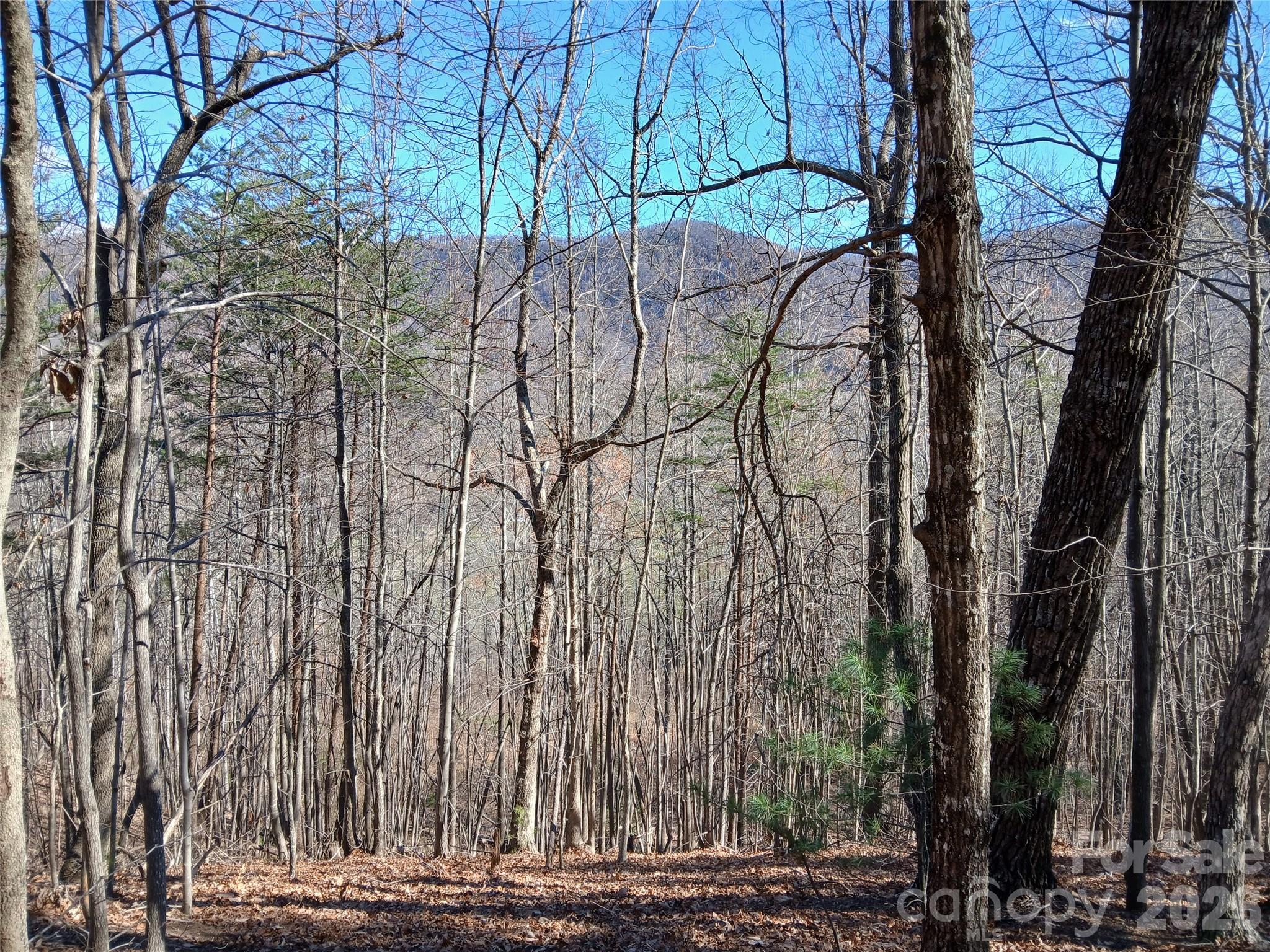 0 Piney Gate Road, Unit 39 Saluda, NC 28773 - Photo 11 of 15 a picture of street view