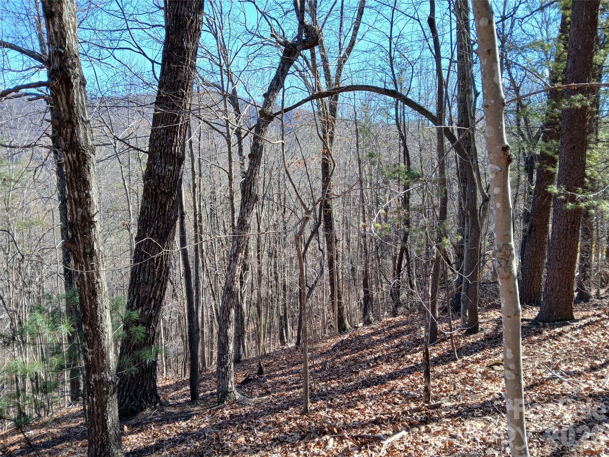 0 Piney Gate Road, Unit 39 Saluda, NC 28773 - Photo 12 of 15 a backyard of a house with lots of trees