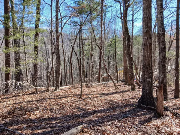 a view of outdoor space with trees