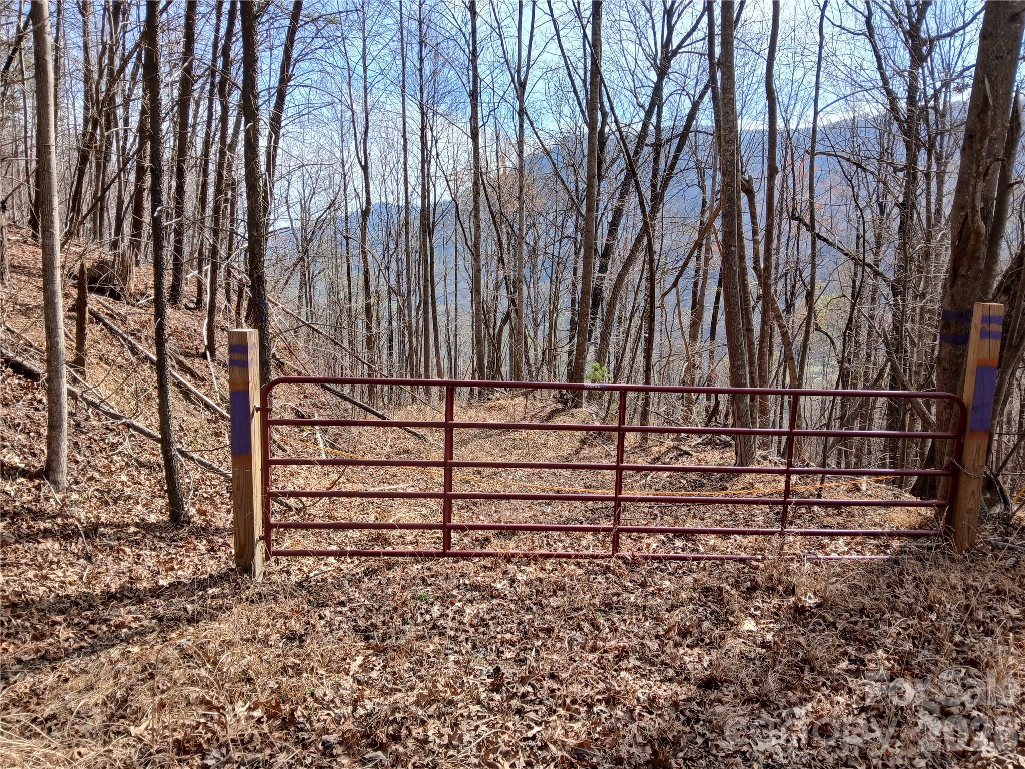 0 Piney Gate Road, Unit 39 Saluda, NC 28773 - Photo 15 of 15 a view of wooden fence