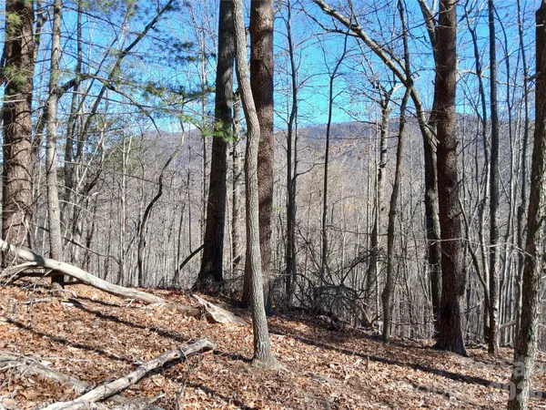 a view of a backyard of the house