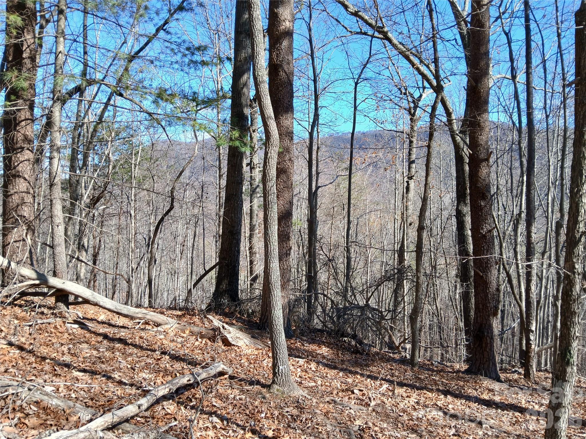 0 Piney Gate Road, Unit 39 Saluda, NC 28773 - Photo 3 of 15 a view of a backyard of the house