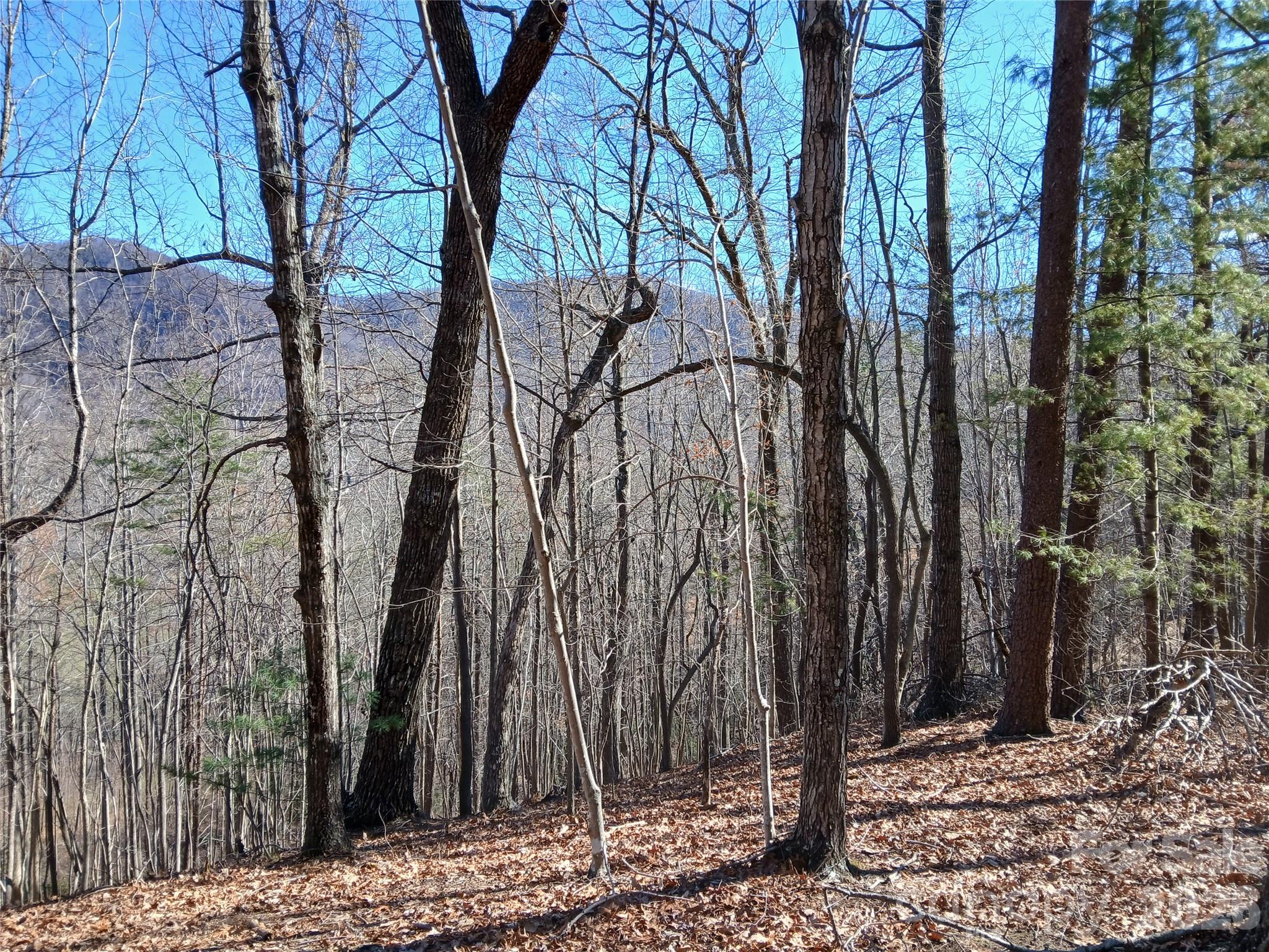0 Piney Gate Road, Unit 39 Saluda, NC 28773 - Photo 4 of 15 a view of a backyard