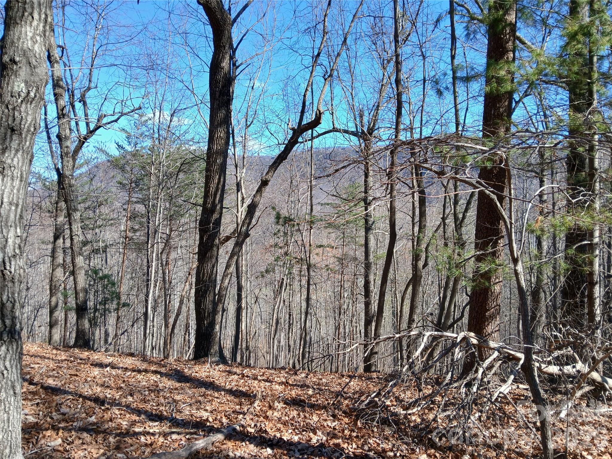 0 Piney Gate Road, Unit 39 Saluda, NC 28773 - Photo 5 of 15 a view of house with a yard