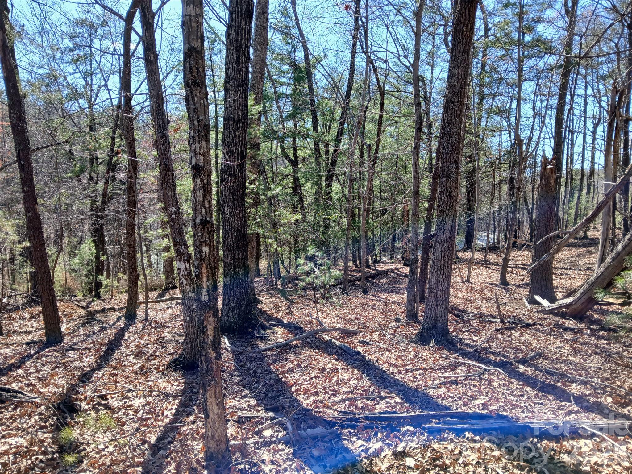 0 Piney Gate Road, Unit 39 Saluda, NC 28773 - Photo 7 of 15 a backyard of a house with lots of green space