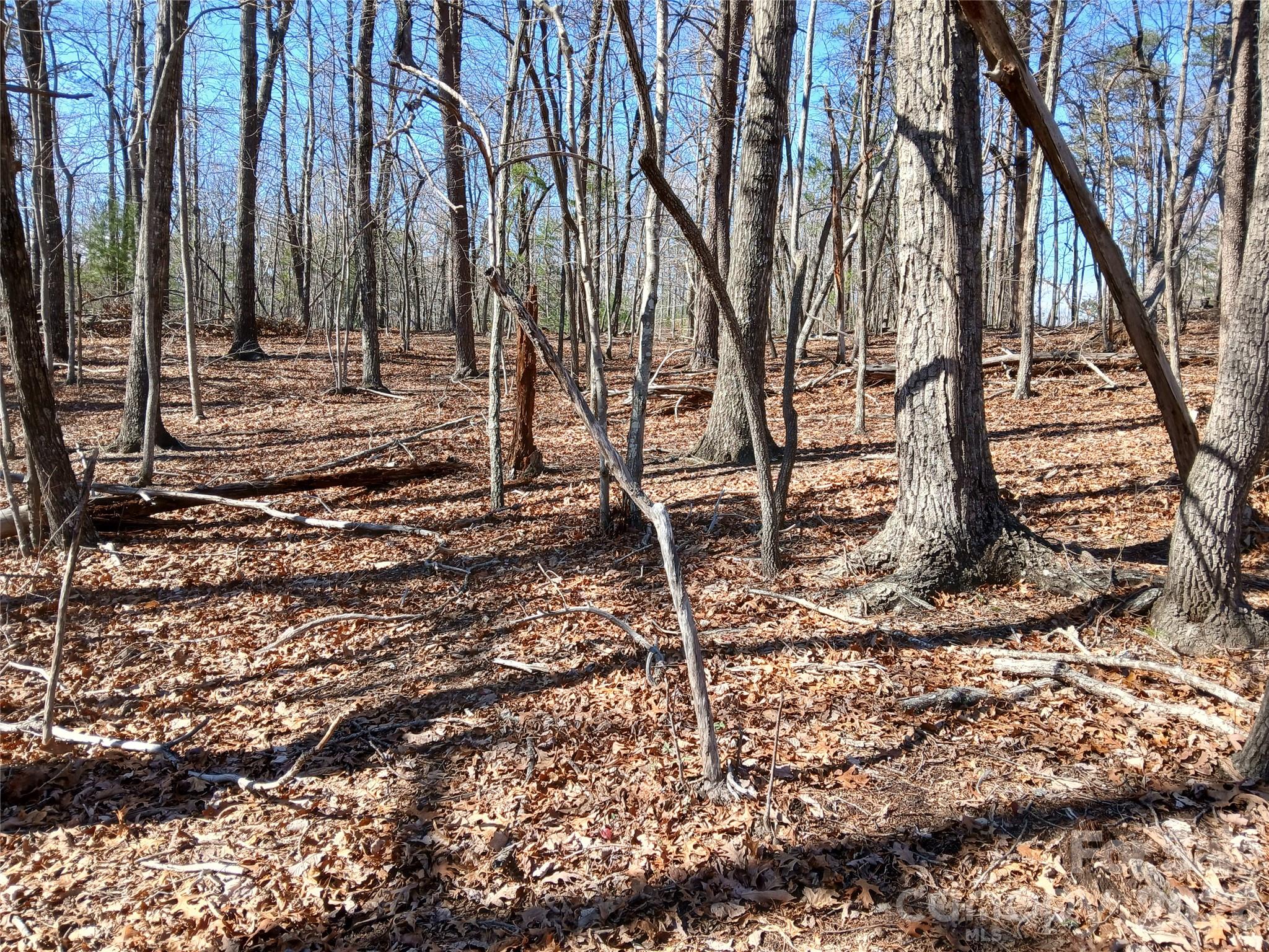 0 Piney Gate Road, Unit 39 Saluda, NC 28773 - Photo 8 of 15 a backyard of a house with lots of green space