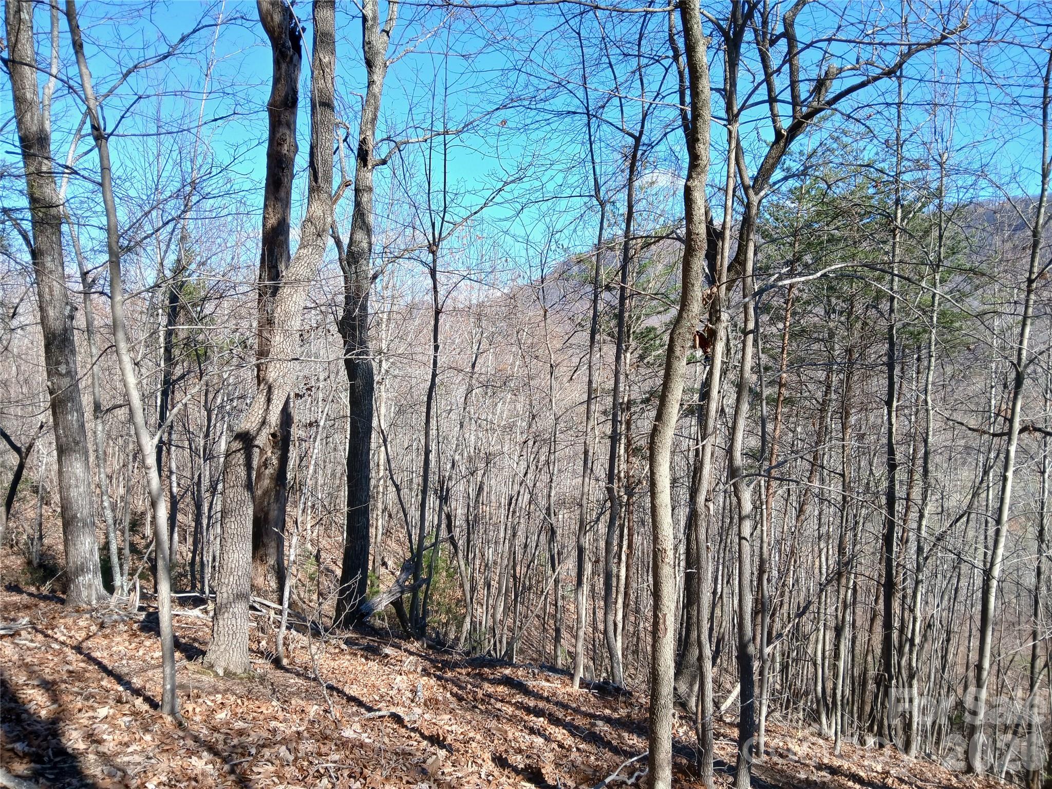 0 Piney Gate Road, Unit 39 Saluda, NC 28773 - Photo 10 of 15 a backyard of a house with lots of green space