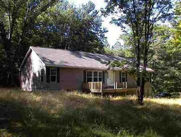 10103 Swiss Reed City, MI 49677 - Photo 1 of 1 Primary Photo