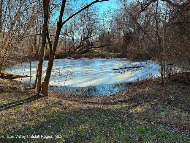 a view of a yard with large tree