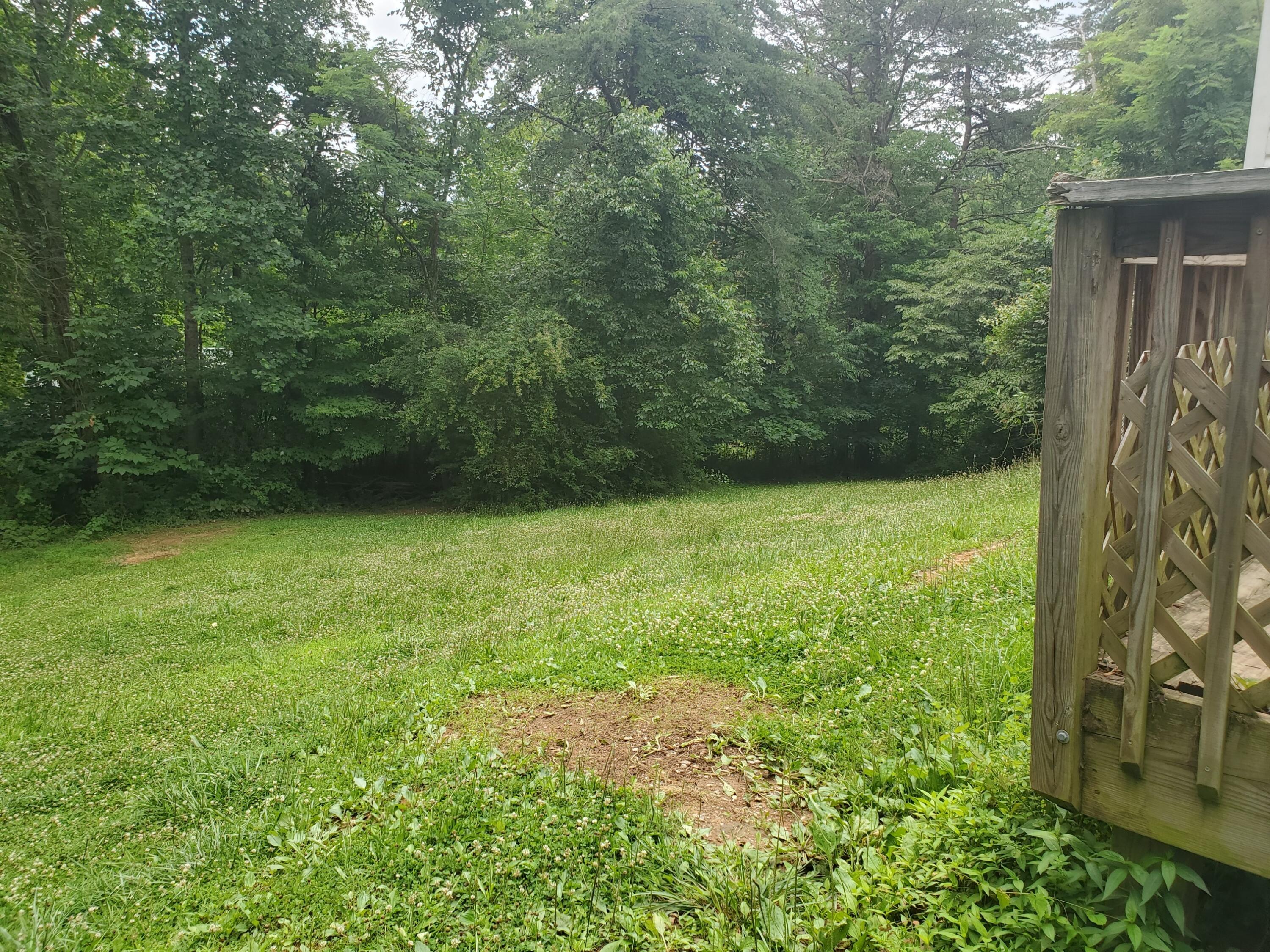 107 Meadowlark Road Blue Ridge, VA 24064 - Photo 18 of 18 Backyard