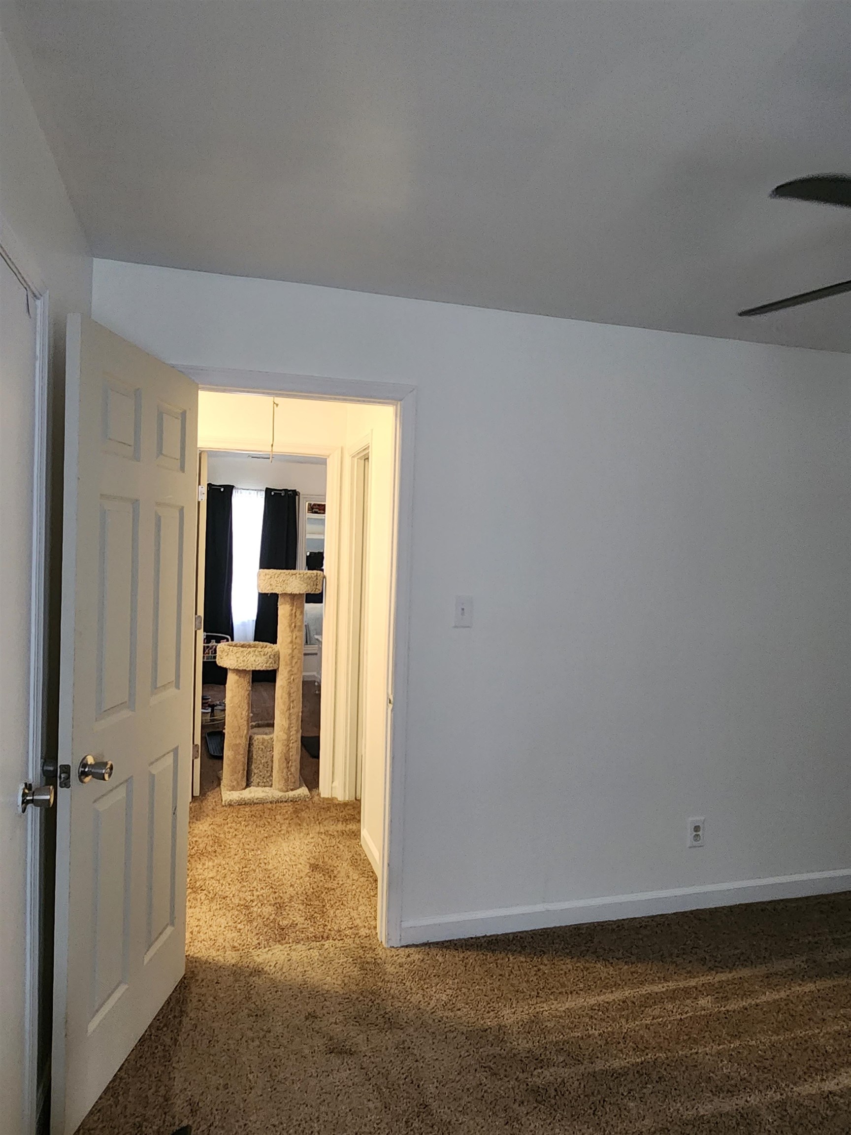 1462 B Dover Road Spartanburg, SC 29301 - Photo 6 of 35 Gallery Image 6