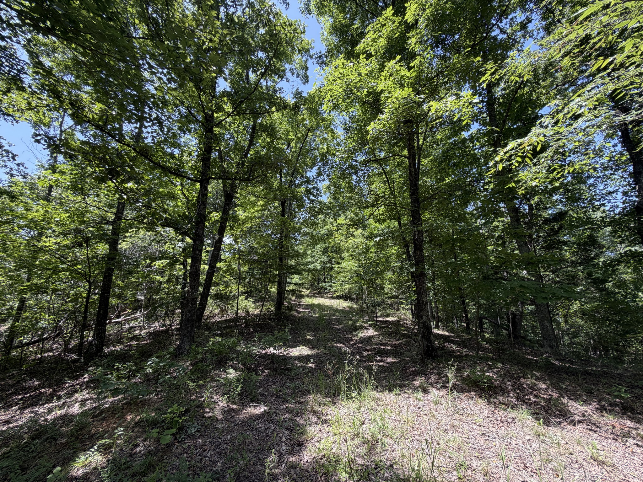 215 Bar Bee Road Hohenwald, TN 38462 - Photo 40 of 51