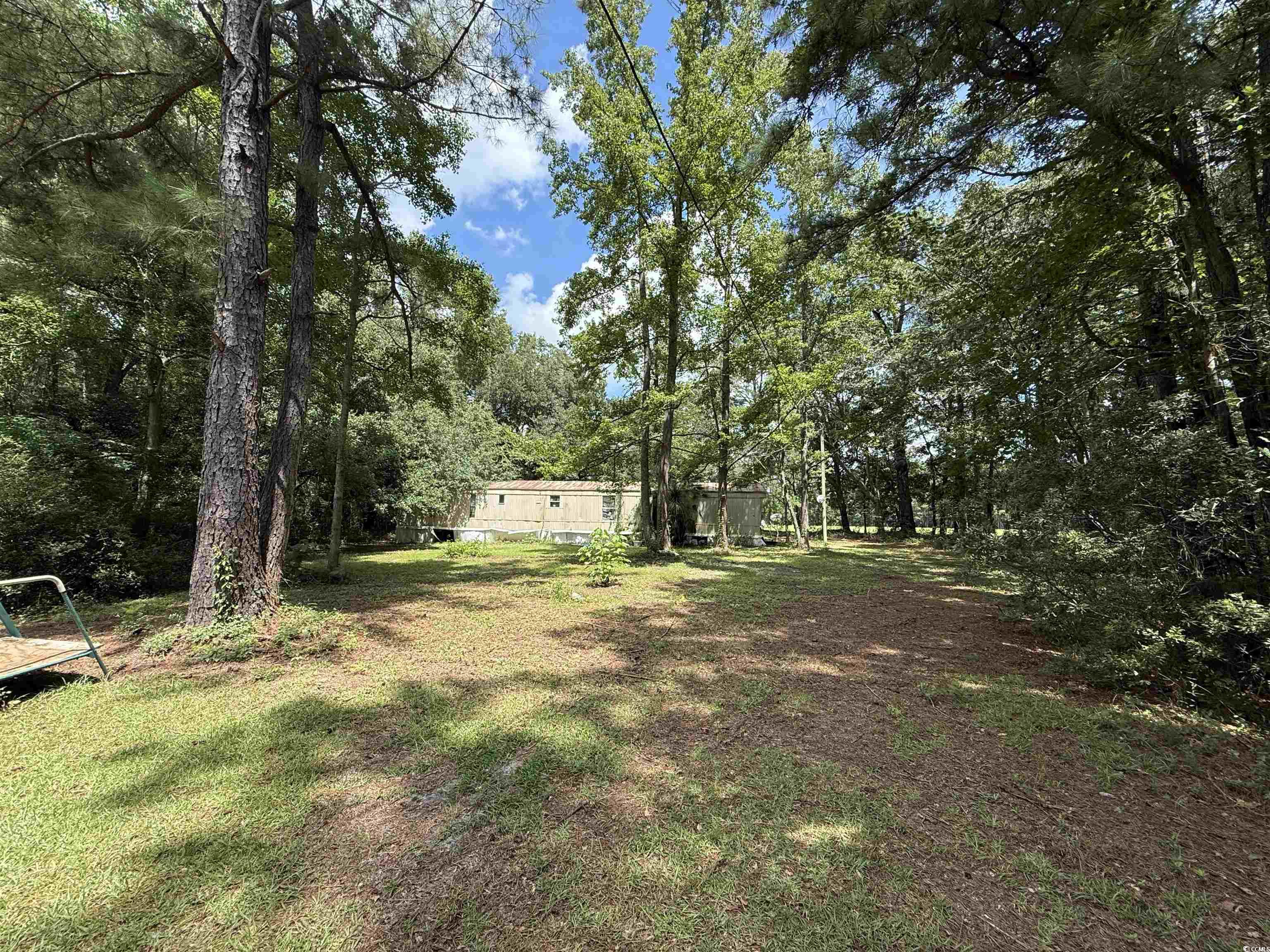 Tbd Morrisville Road Andrews, SC 29510 - Photo 13 of 29 View of green lawn