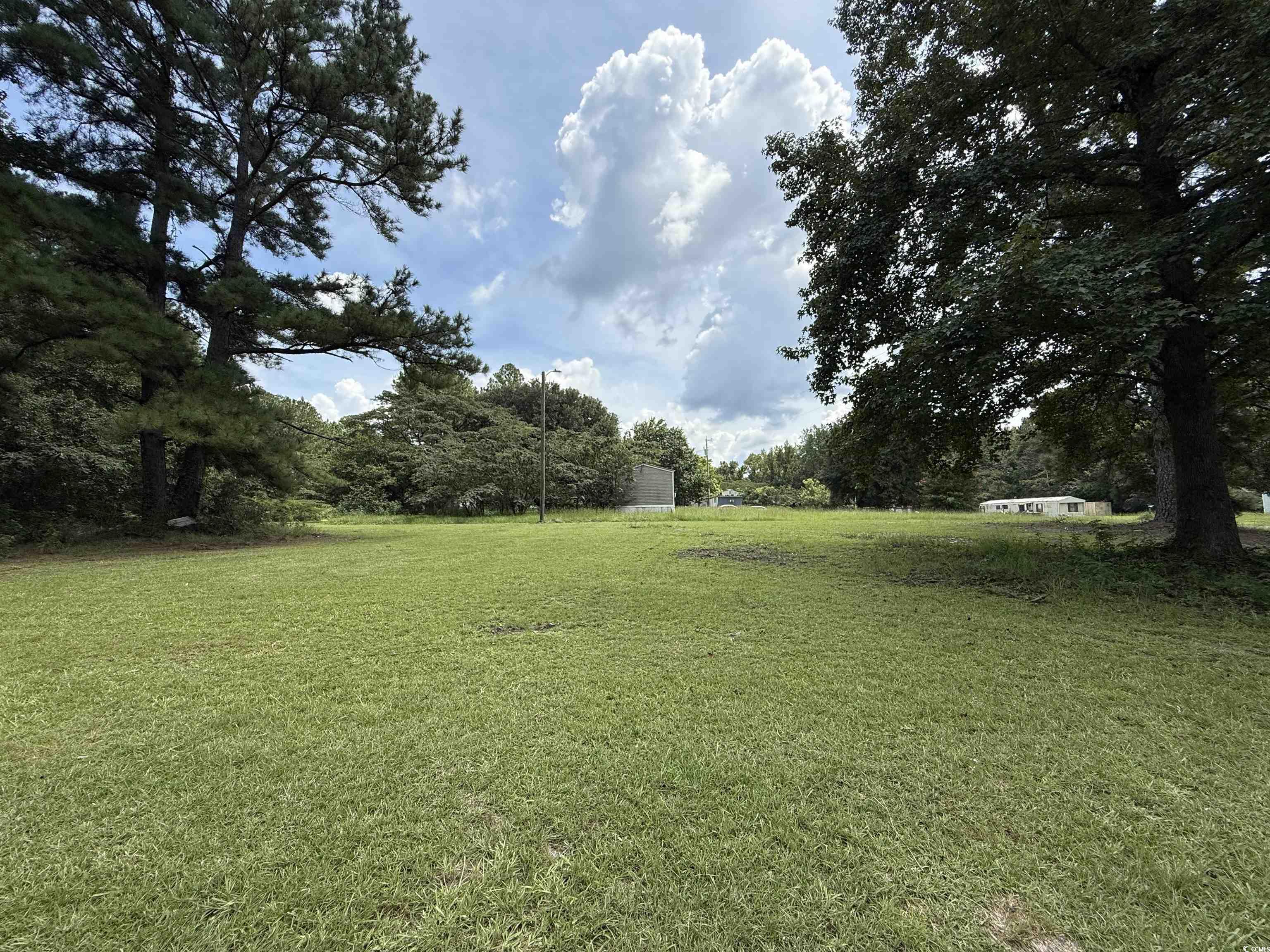 Tbd Morrisville Road Andrews, SC 29510 - Photo 14 of 29 View of green lawn