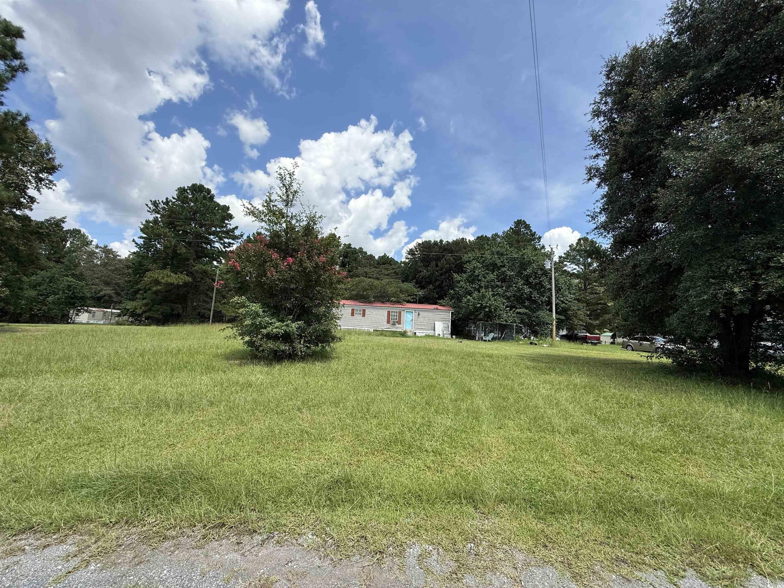 Tbd Morrisville Road Andrews, SC 29510 - Photo 15 of 29 View of yard