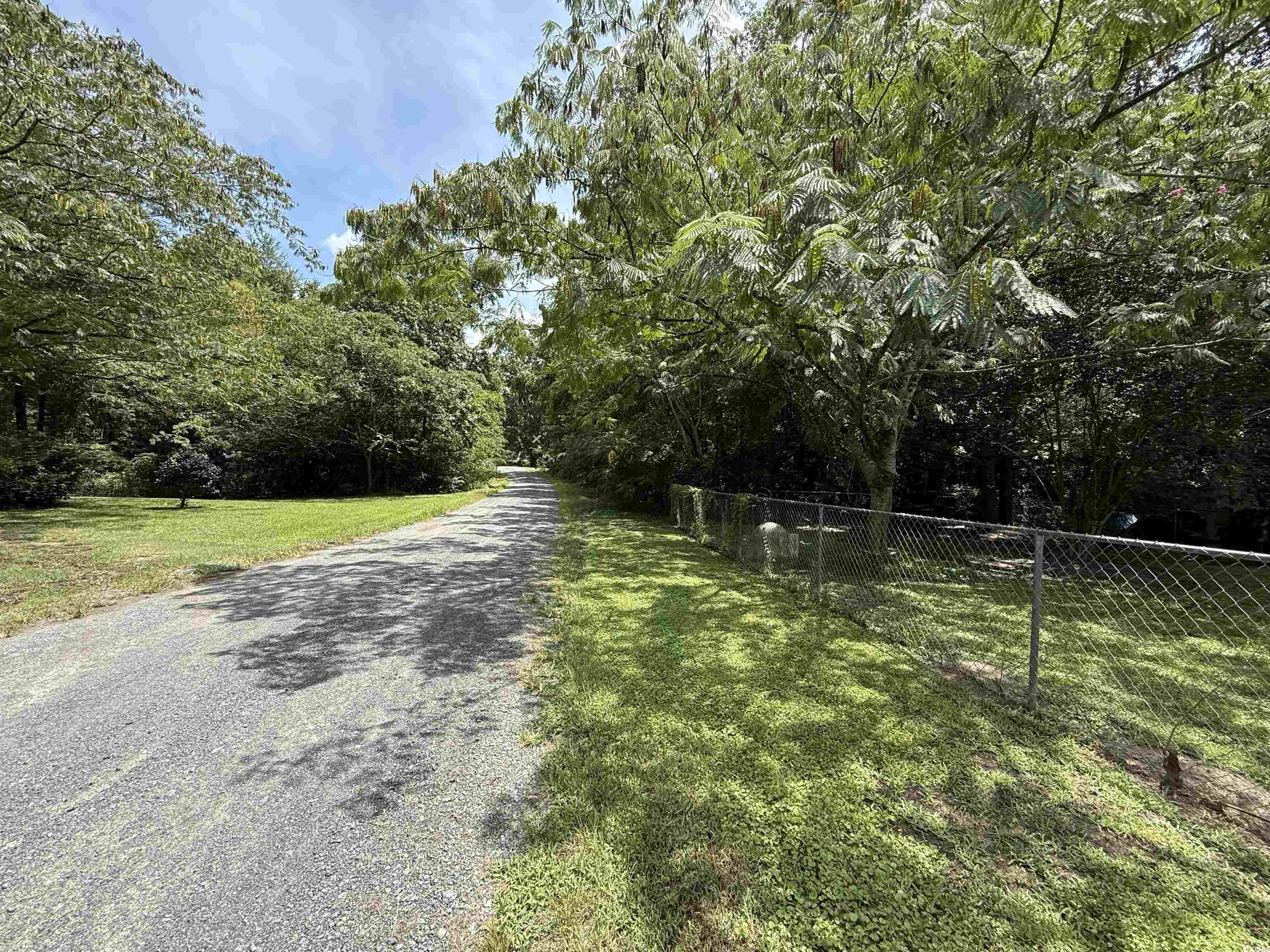Tbd Morrisville Road Andrews, SC 29510 - Photo 18 of 29 View of road featuring a view of trees