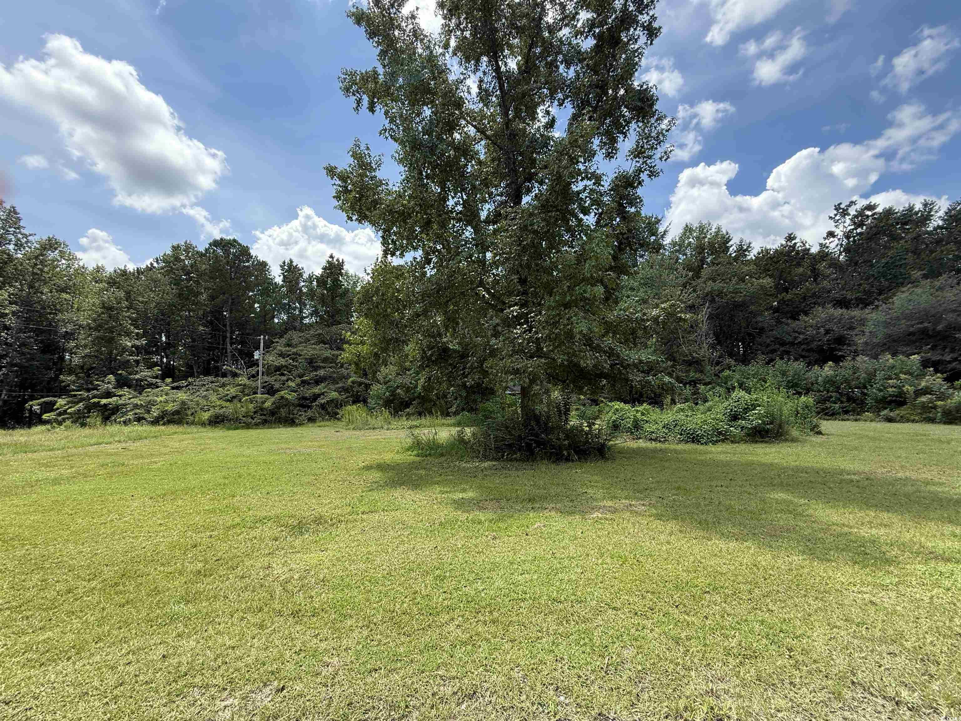 Tbd Morrisville Road Andrews, SC 29510 - Photo 21 of 29 View of green lawn