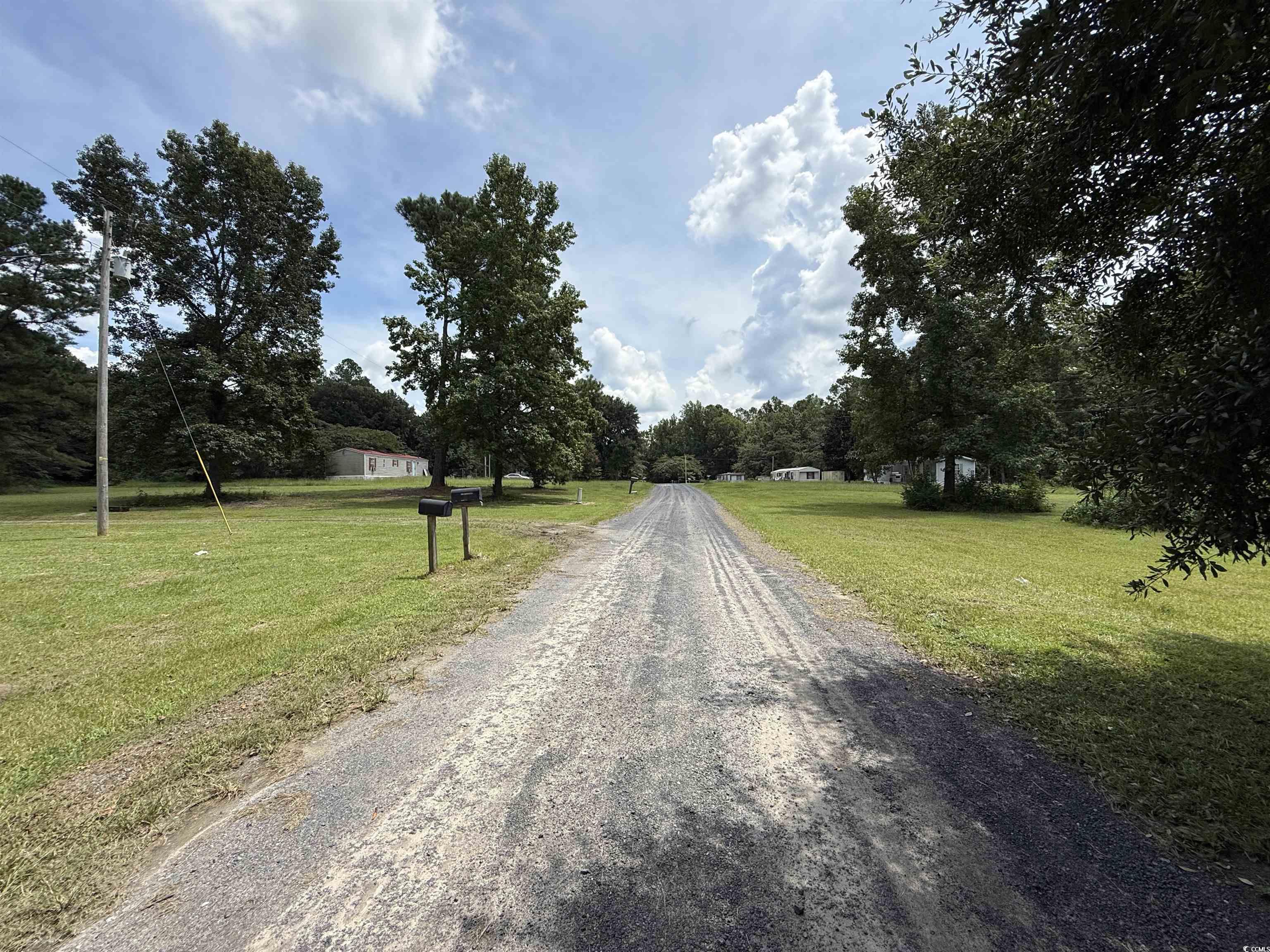 Tbd Morrisville Road Andrews, SC 29510 - Photo 22 of 29 View of dirt / gravel road