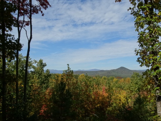 210 Cliffside Trail Pickens, SC 29671 - Photo 11 of 33